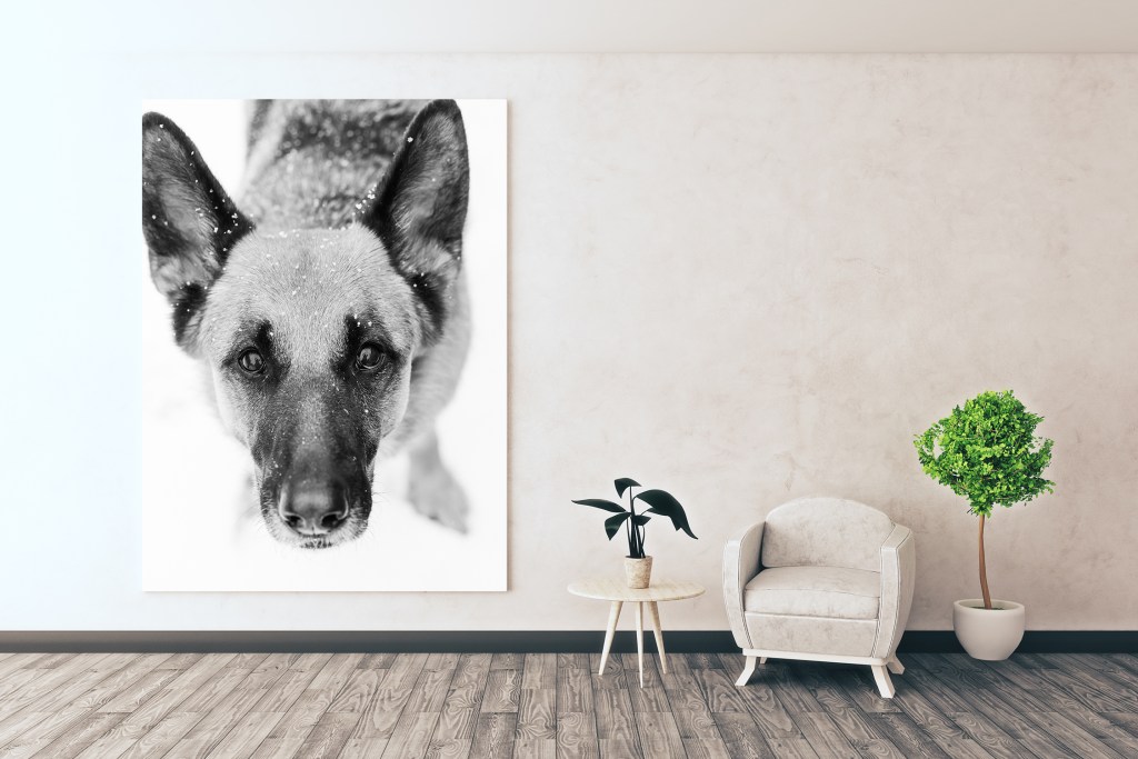 Gallery Wrap 1.5"