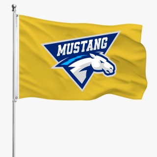 Custom Pole Flag